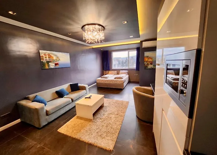 Joy Station Cozy * ソフィア